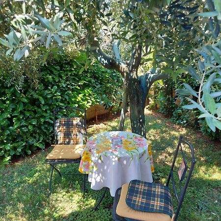 אומאג Appartamento Alida מראה חיצוני תמונה